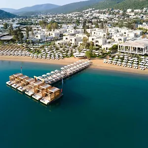Voyage Complex
